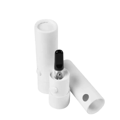 Boîte résistante de tube de dispositif d'enfant de preuve de serrure d'enfant jetable fait sur commande d'emballage pour Vape