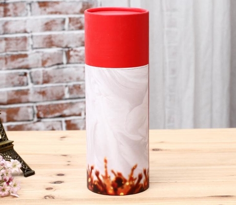 Tube de papier Pen Holder, cylindres de relief d'oreiller de velours de carton avec des couvercles